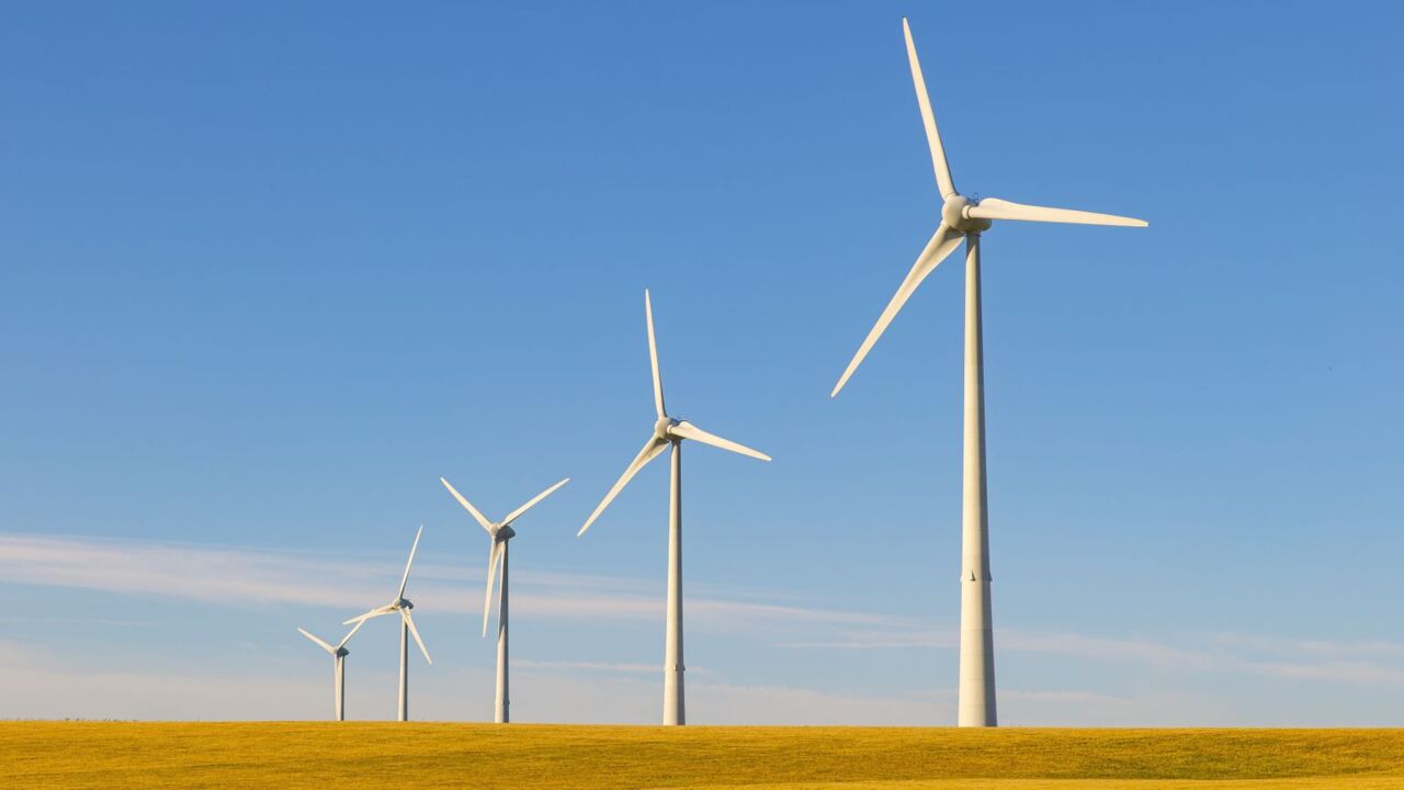 ‘ripped off’: joyce slams labor’s wind farms as ‘swindle factories’