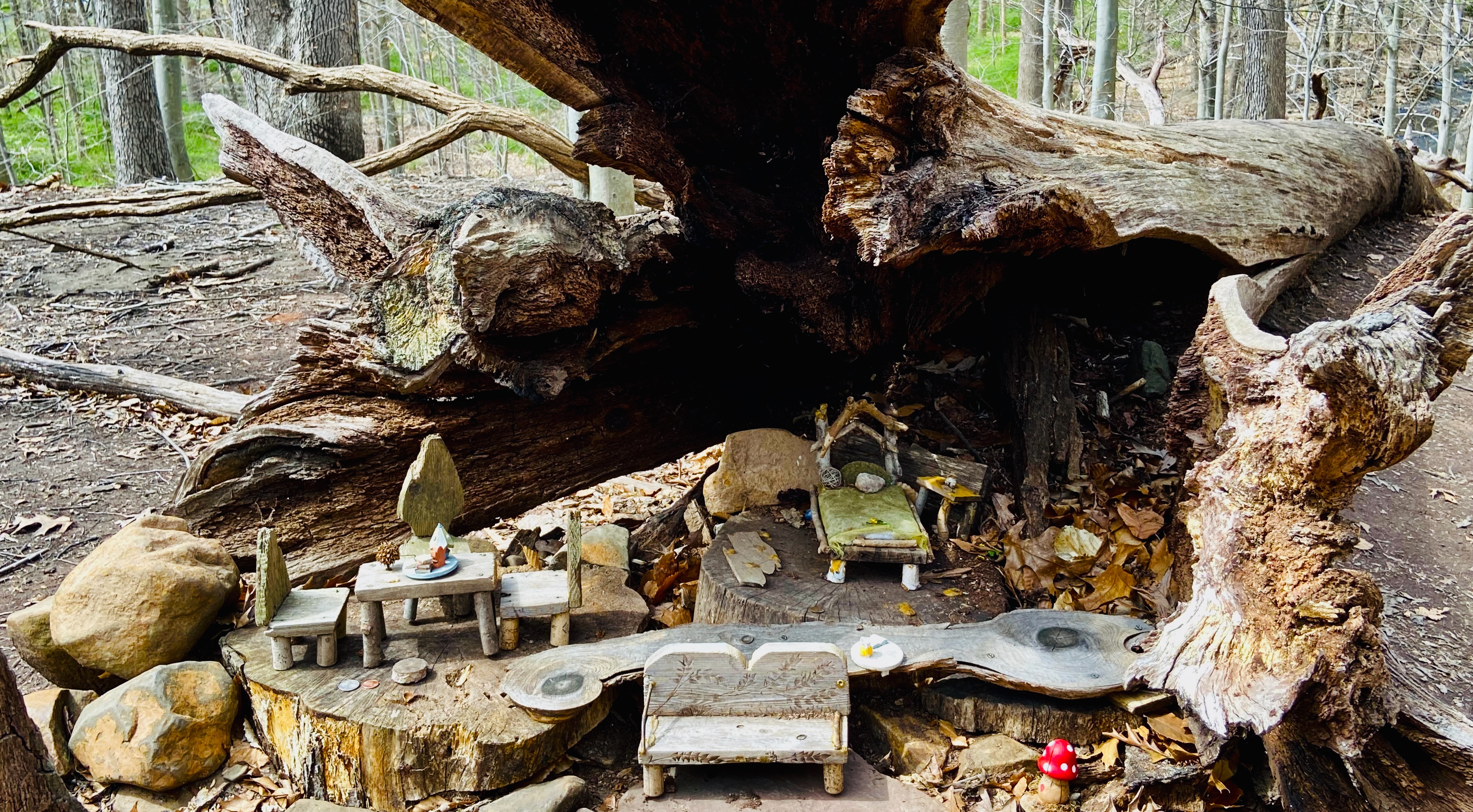 she made a fairy trail for her autistic son; now it’s a public destination