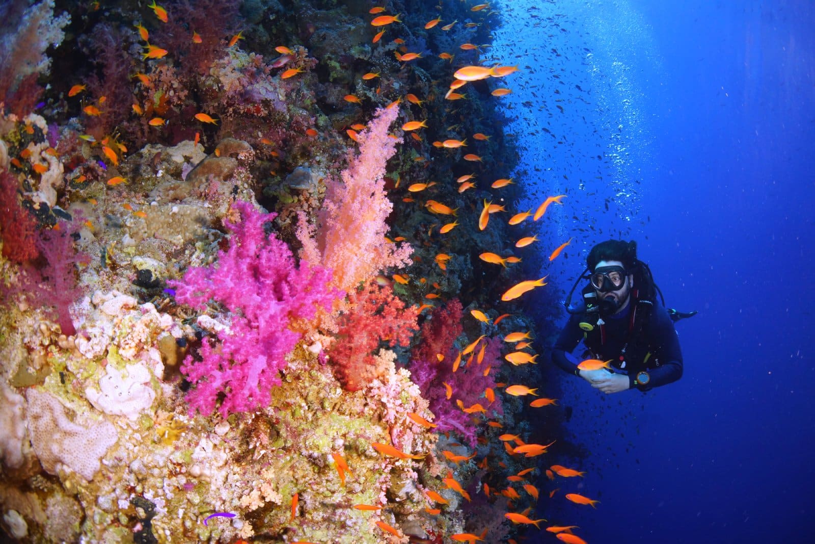 <p class="wp-caption-text">Image Credit: Shutterstock / Cinzia Osele</p>  <p><span>Egypt’s Red Sea Riviera is a haven for divers, snorkelers, and sun-seekers, known for its crystal-clear waters, vibrant coral reefs, and year-round sunshine. Resorts like Sharm El Sheikh, Hurghada, and Marsa Alam are gateways to underwater wonders, including the famous Thistlegorm wreck and the Ras Mohammed National Park. The Red Sea’s marine biodiversity is unparalleled, with opportunities to spot dolphins, turtles, and hundreds of fish species. Beyond the beach, the Red Sea Riviera offers adventures in the desert, including safaris and Bedouin dinners under the stars. The region’s commitment to conservation ensures that its natural beauty is preserved for future generations, making it a sustainable choice for eco-conscious travelers.</span></p>