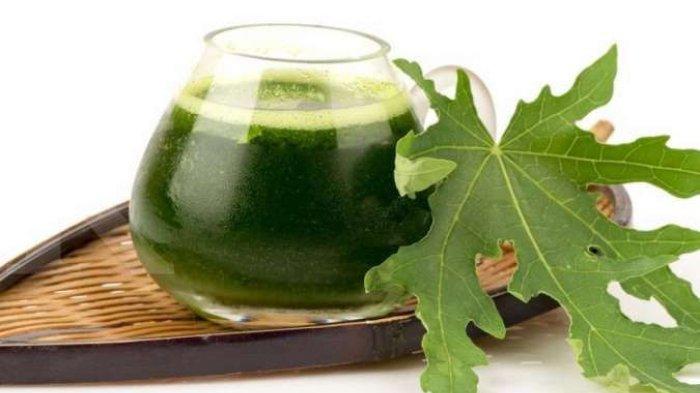 abaikan rasa pahitnya,9 manfaat daun pepaya untuk menjaga kesehatan tubuh