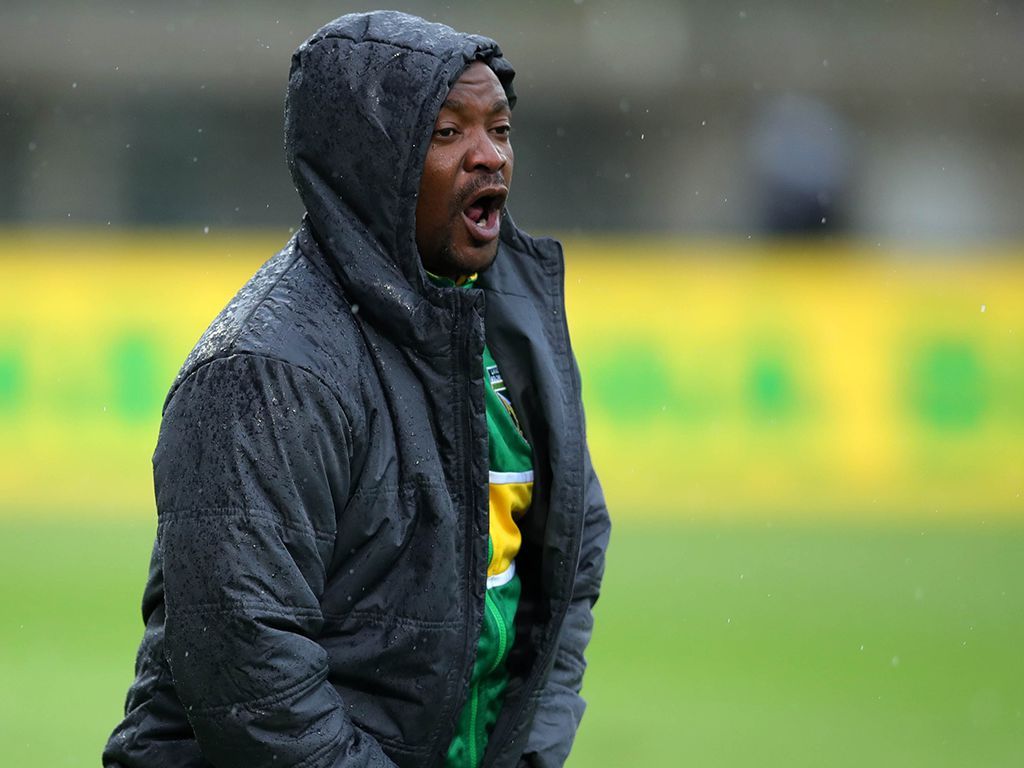 kaizer chiefs manager: brand new candidate?