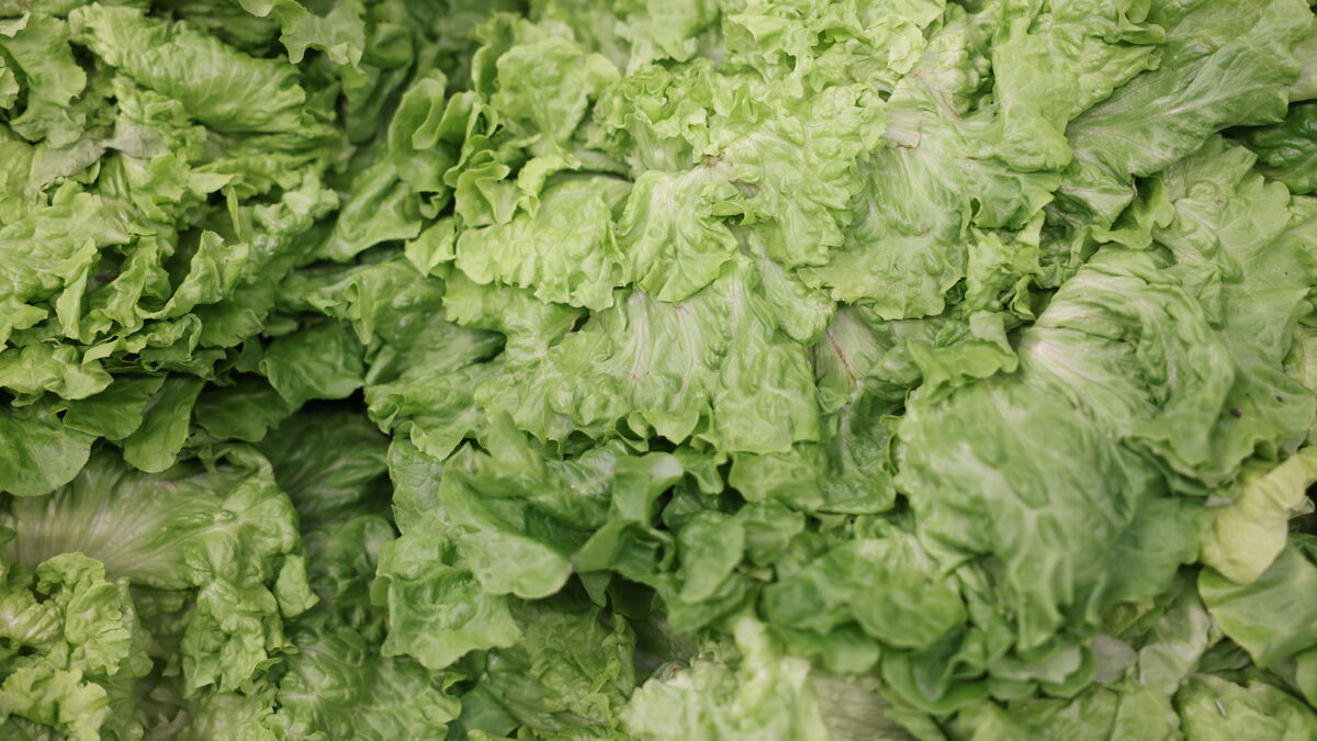 « des résultats inquiétants » : la majorité des salades en sachet sont contaminées par des résidus de pesticides