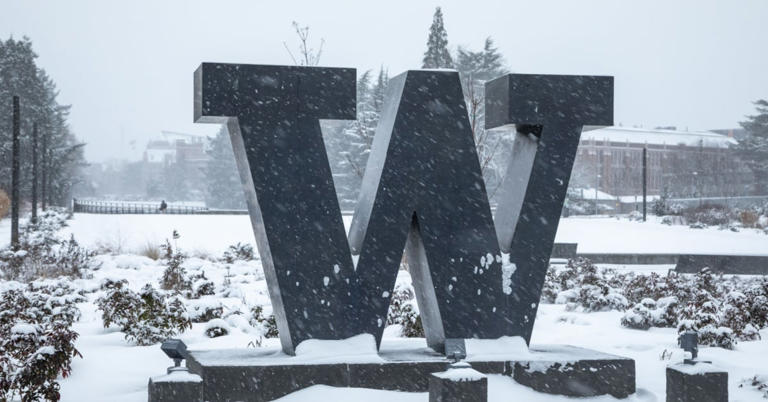 University of Washington's Workday woes leave research grants in limbo