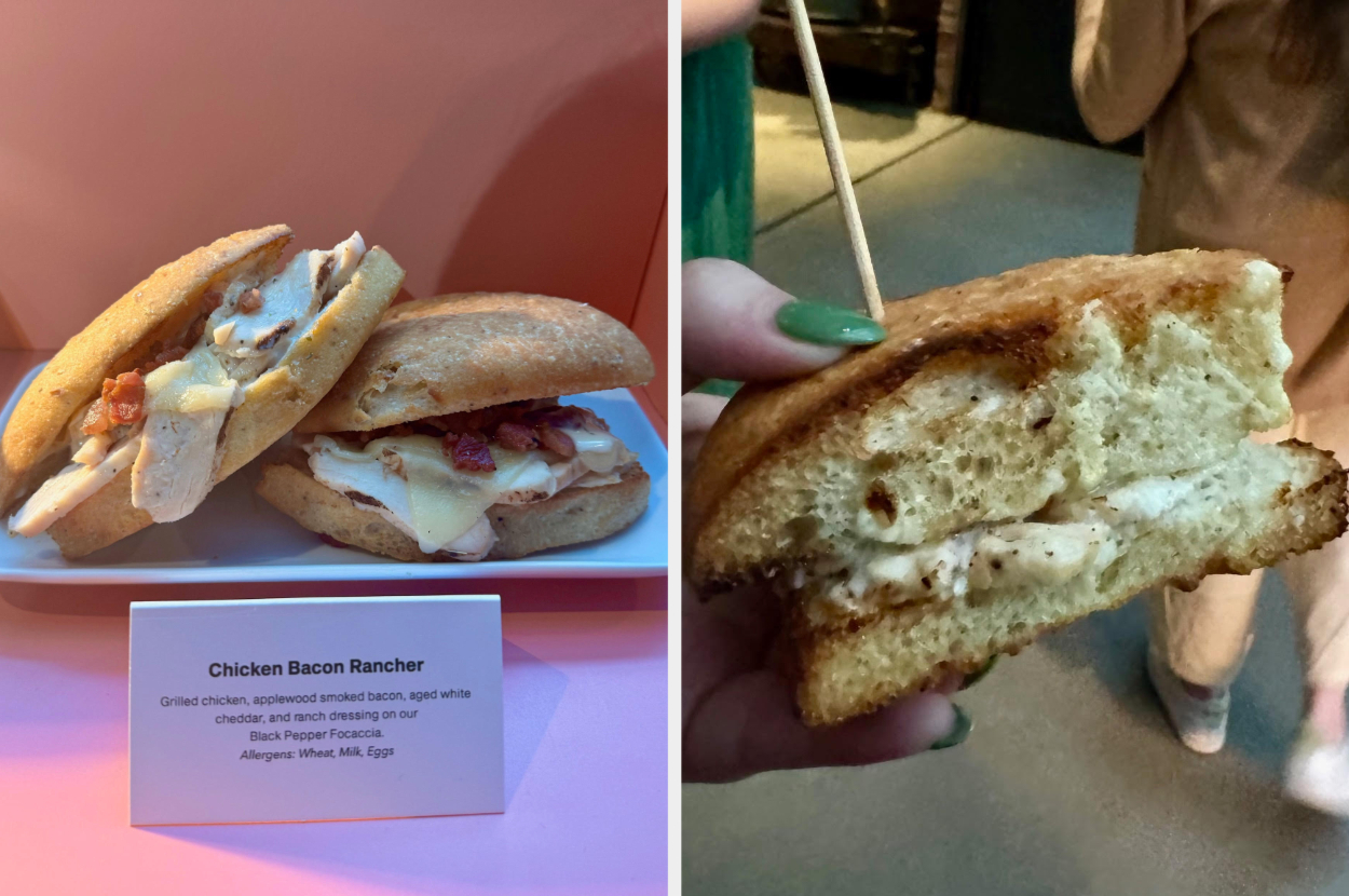 panera is launching a bunch of exciting new menu items, so obviously i had to conduct a taste test