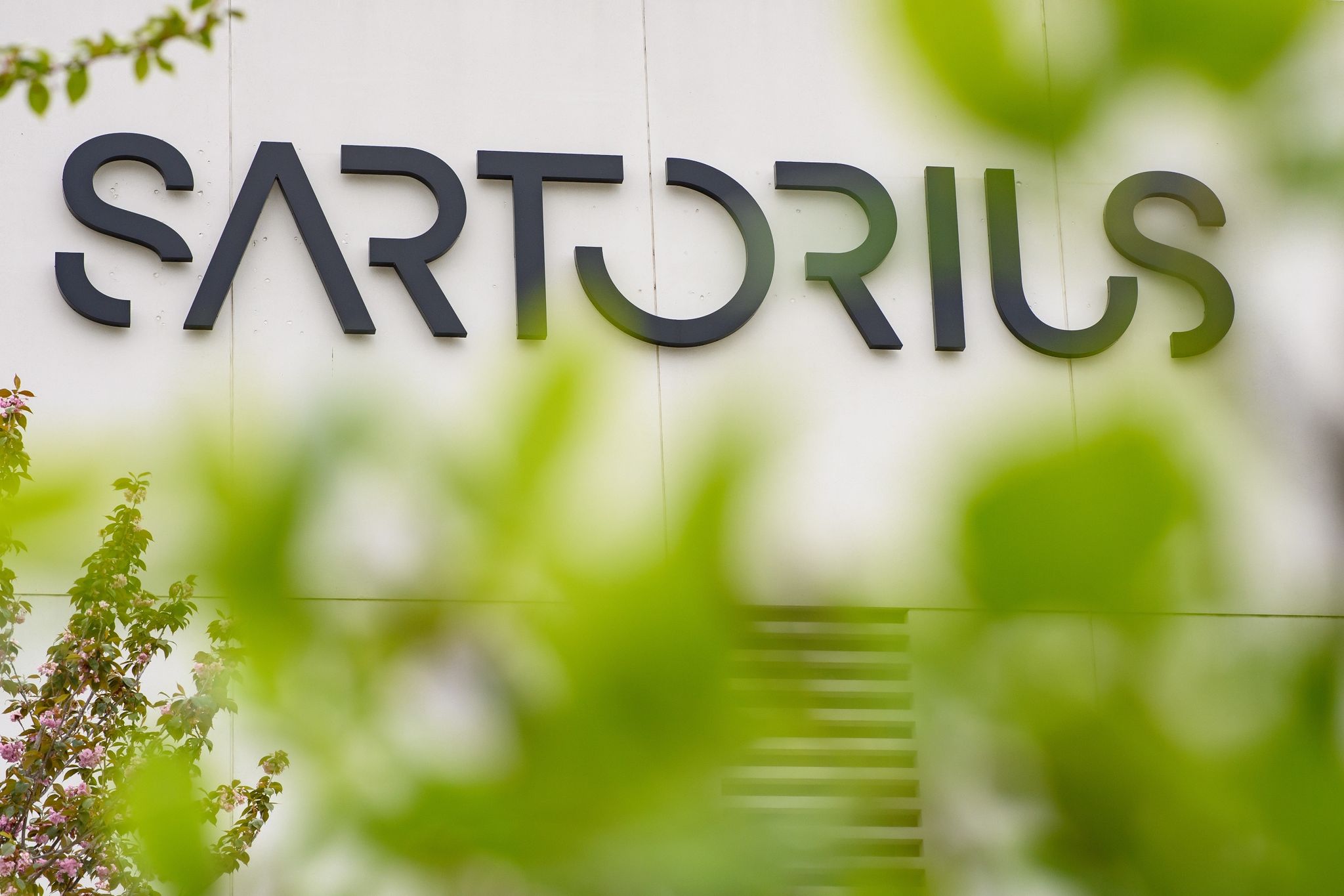 sartorius schüttet 50,7 millionen euro dividende aus