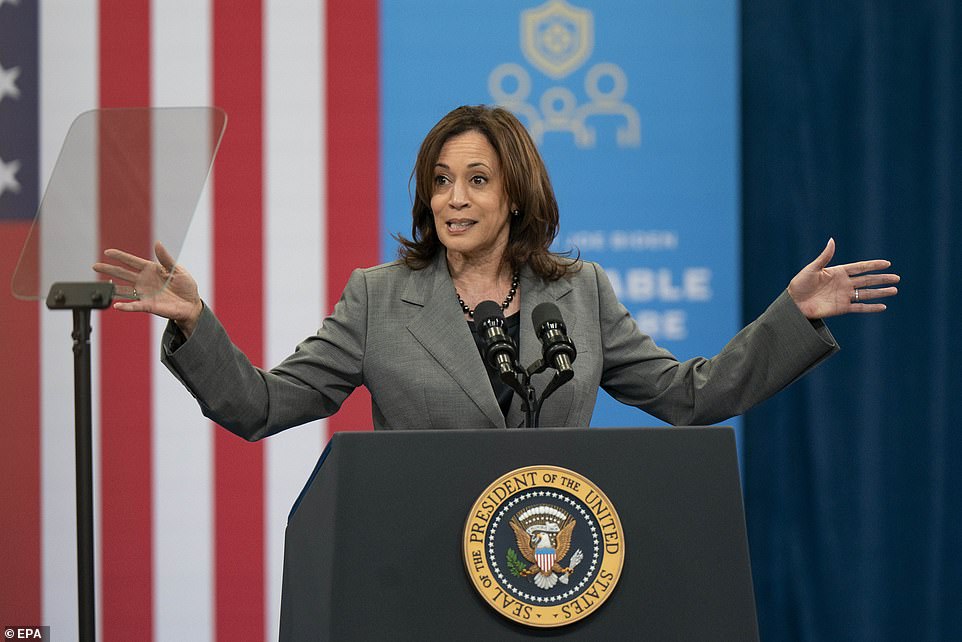 Kamala Harris launches bid to protect Americans from racist AI