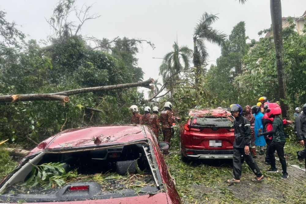 several trees toppled by strong winds in kl