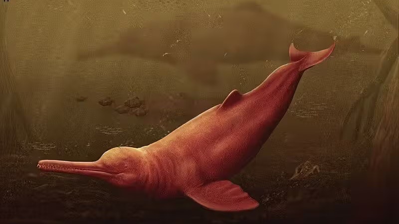 amazon, forscher findet riesiges delfin-fossil im amazonas