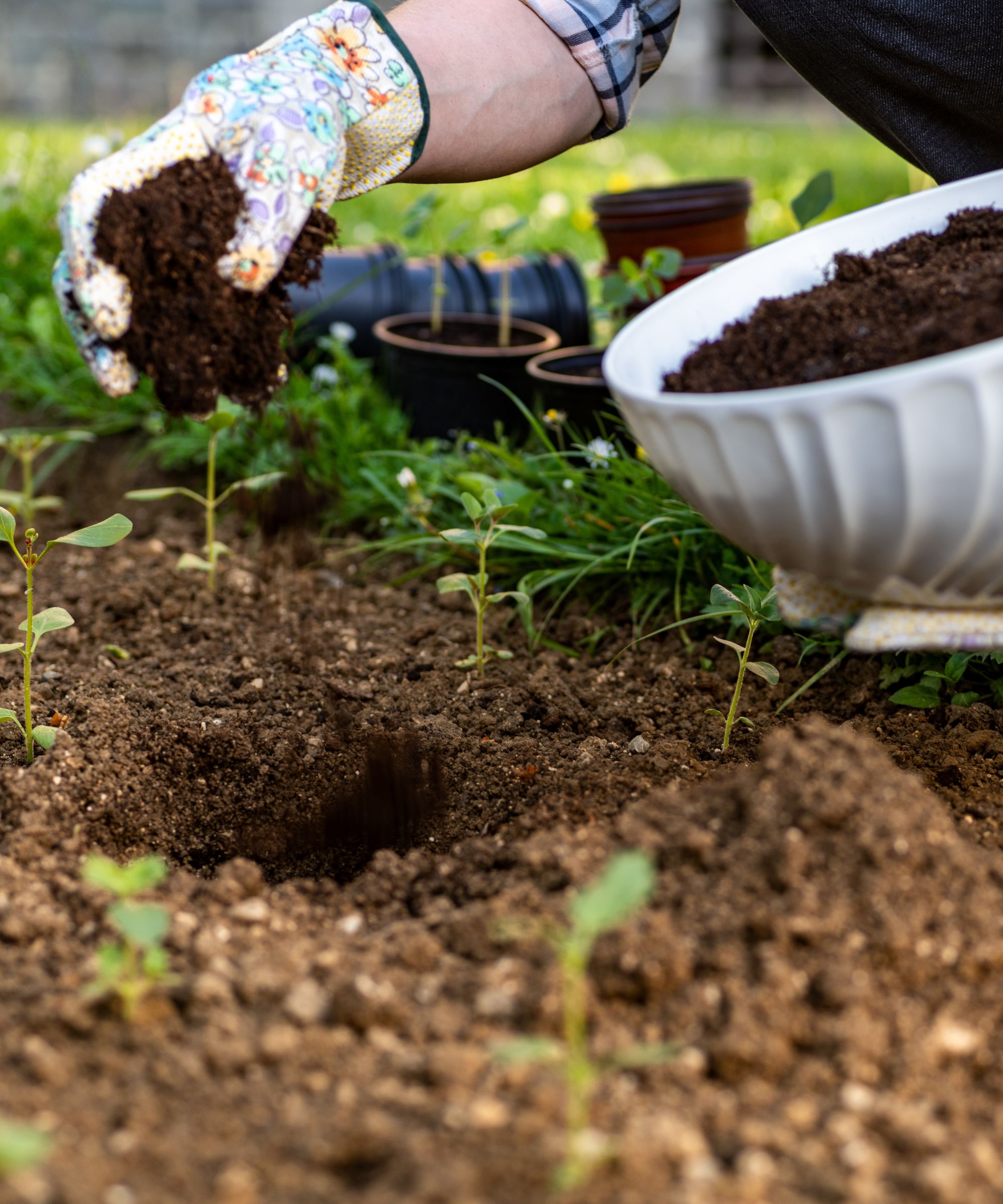how to, amazon, how to make compost — 8 easy steps gardening pros always use
