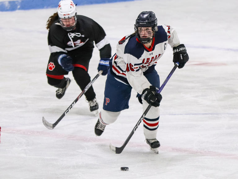 Votes are in: Patriot Ledger/Enterprise's Boys Hockey Postseason Player ...