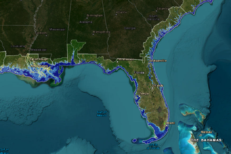 Florida Map Shows Where State Will Become Underwater From Sea Level Rise