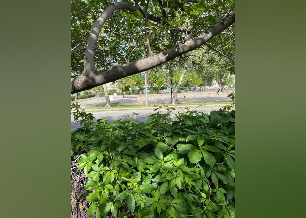 The best campgrounds near Salt Lake City to check out this summer