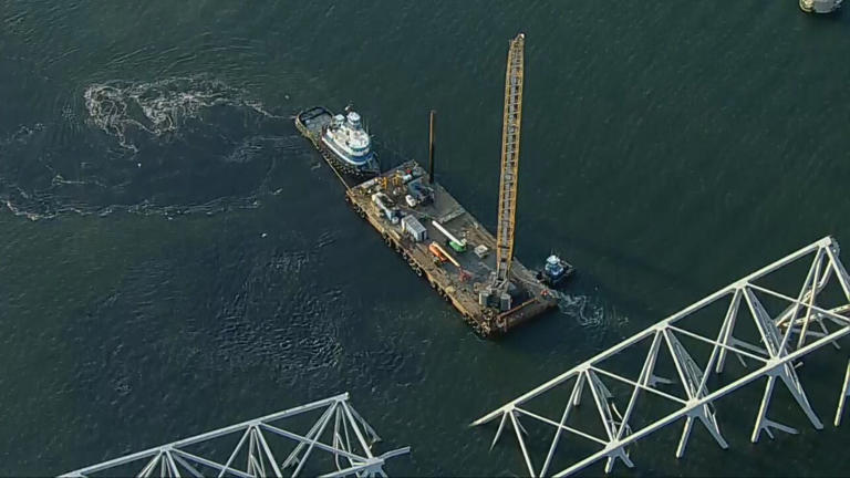 Massive crane, salvage operation underway to clean up collapsed ...