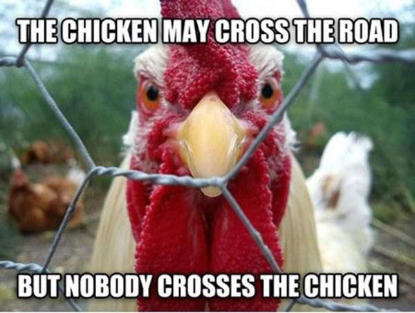 These Hilarious Chicken Memes Are a Little Too Relatable