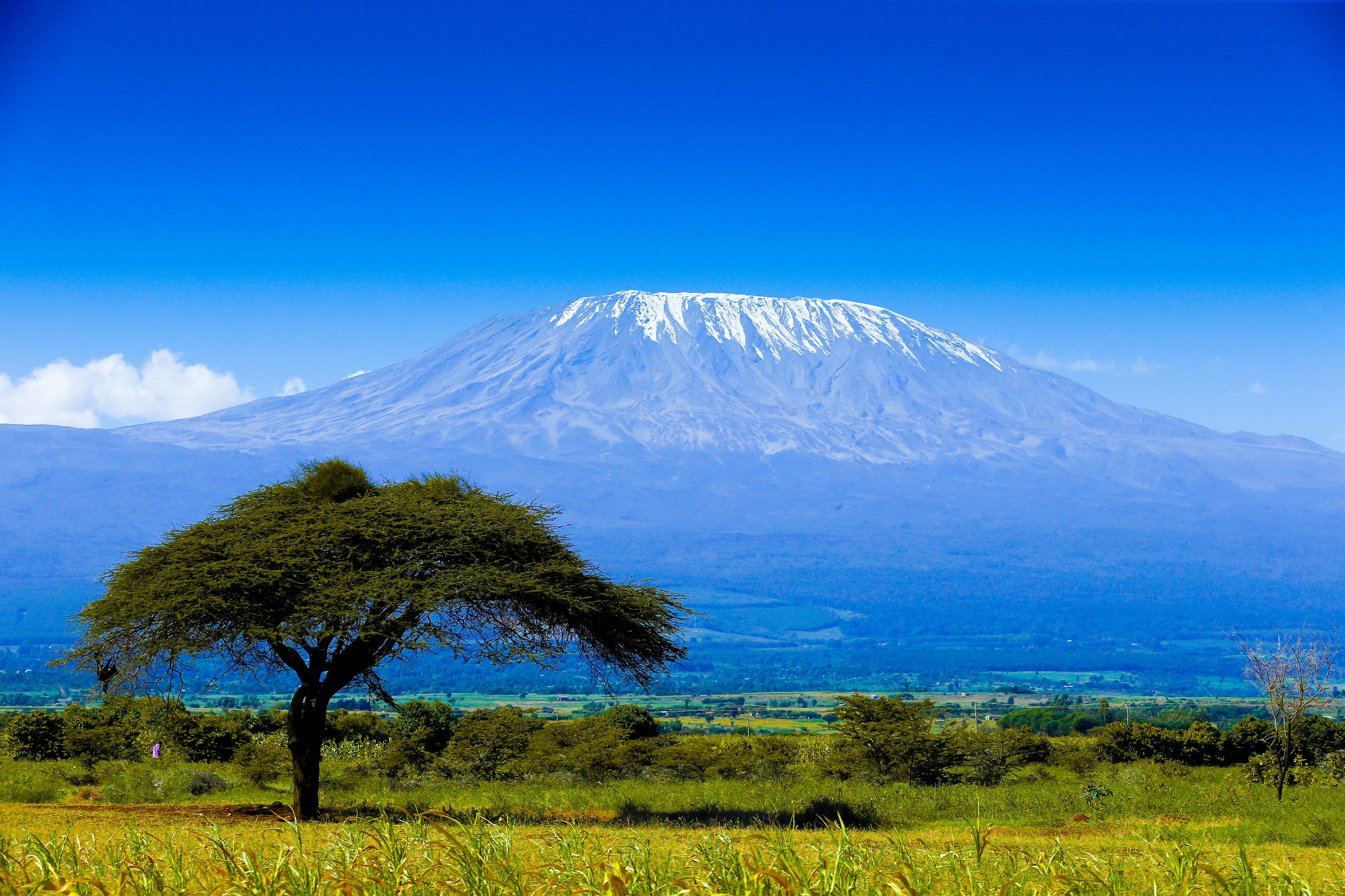 descubra como é subir o kilimanjaro pela rota lemosho