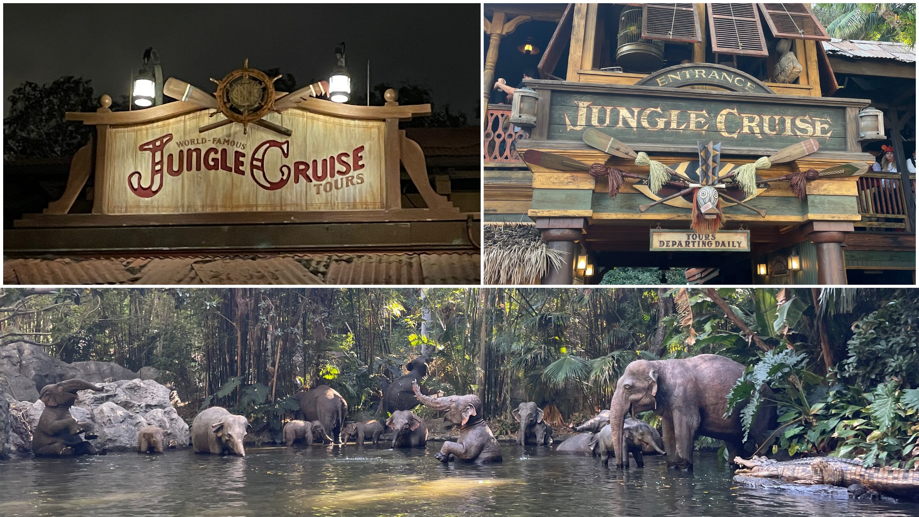 <p>Are you a Disney regular on one coast and a visitor on another? Here are some differences that you will notice between the attractions at each park. </p> <p>It’s interesting to note that Walt Disney World was built 16 years after the opening of Disneyland in 1955, but the newer attractions in Florida might not be as large or as entertaining as their older counterparts in California. Let’s look at a few differences between the rides to manage your expectations when visiting both locations. </p>