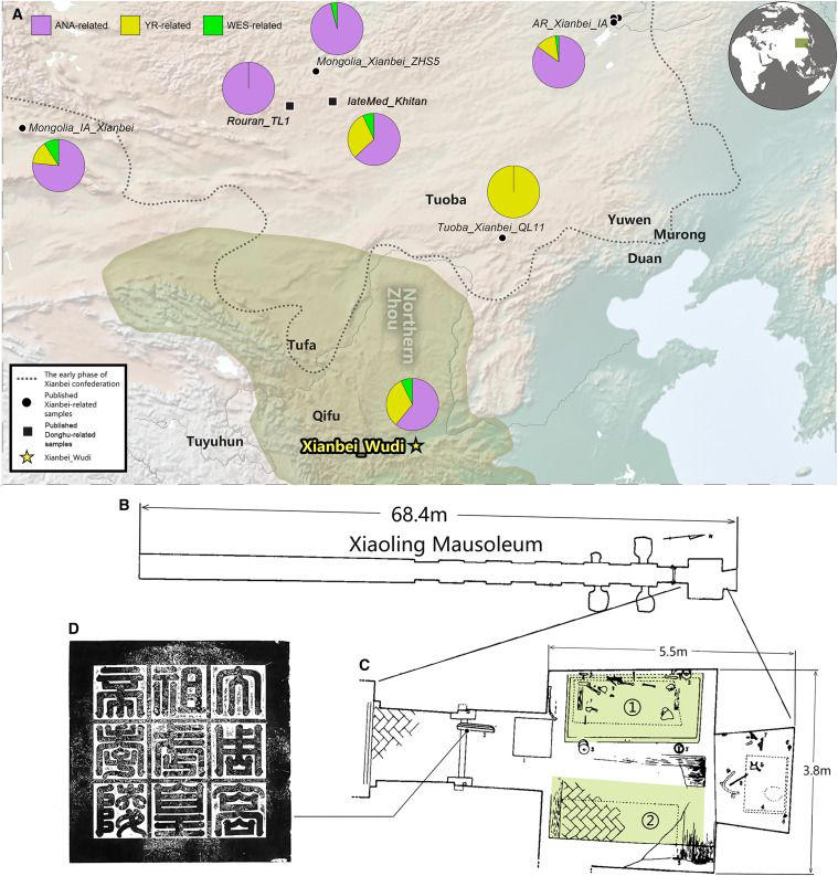 See The Face of Emperor Wu, a Sixth-Century Chinese Ruler Brought to ...