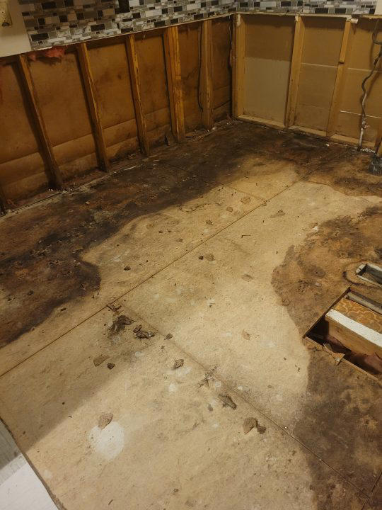 Renter reaches out after finding mold inside her apartment