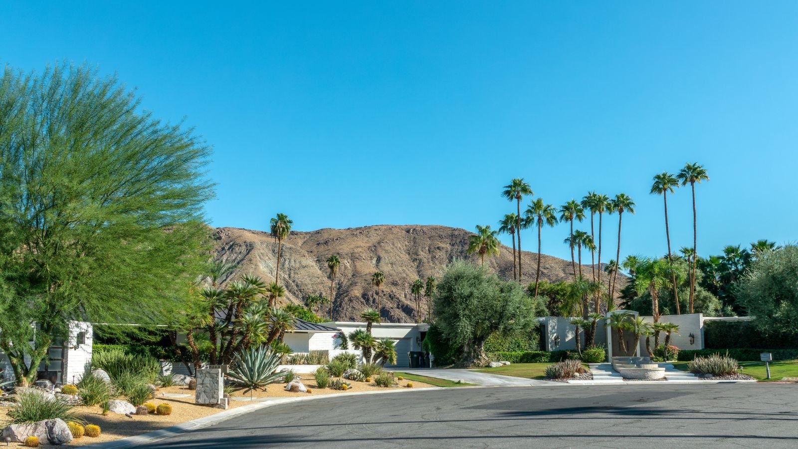 <p>People celebrate Palm Springs. They like it for its mid-century modern architecture, trendy shops, and restaurants. It attracts seniors with its stylish vibe and sunny skies before cocktails at sunset. You can spend days golfing, browsing galleries, or taking aerial tram rides.</p>