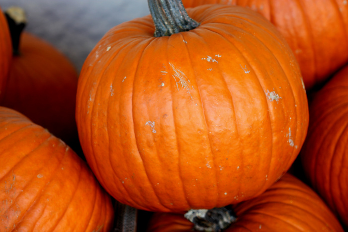 Here's A Bleach-Free Way To Preserve Your Pumpkins And Help Make Them ...