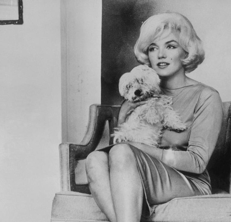 Marilyn Monroe Dress Sells At Auction For $325,000— Eight Times Its ...