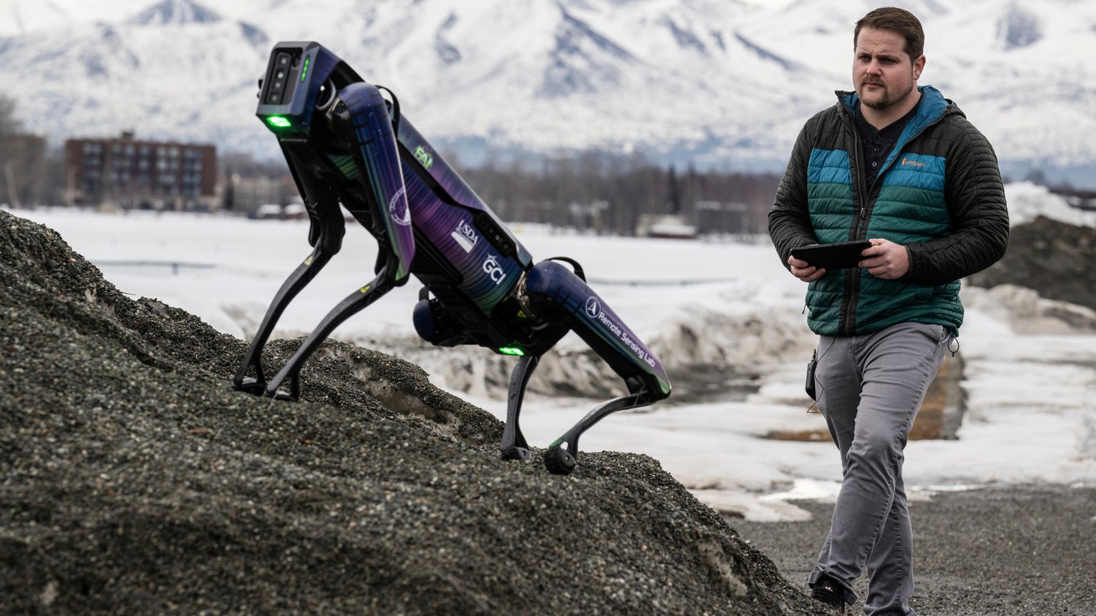 headless, dog-sized robot to patrol airport to prevent bird strikes
