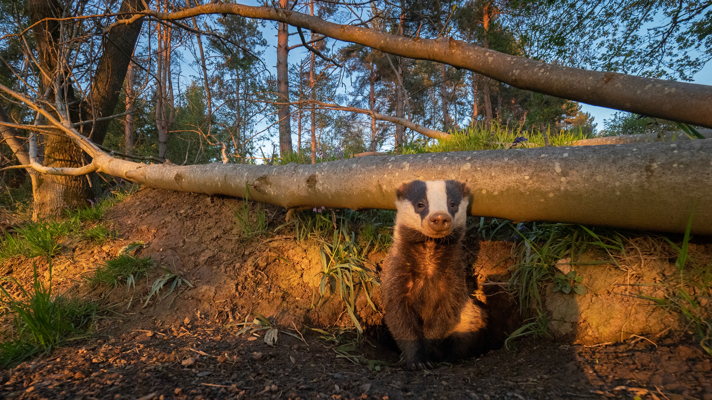 "I Am LIVID" – Wildlife Photographer Tesni Ward Speaks Out Against New ...