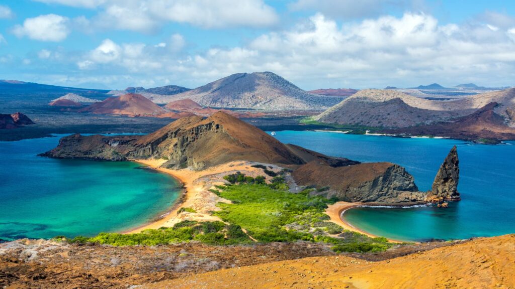 <p>The Galapagos island is home to diverse species of animals, some of which do not exist outside the archipelago. This is because many animals evolved independently and carry unique characteristics endemic to the island. Here are 18 animals of Galapagos Islands you can actually see based on real travel experience.</p>