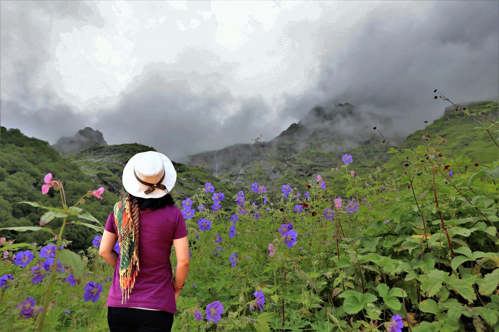 <p class="wp-caption-text">Image Credit: Shutterstock / lakkana savaksuriyawong</p>  <p><span>Nestled in the high altitudes of the Himalayas in Uttarakhand, the Valley of Flowers National Park is a UNESCO World Heritage Site renowned for its meadows of endemic alpine flowers and outstanding natural beauty. This park, accessible only by foot, is a haven for botanists, nature lovers, and trekkers, offering a landscape that blooms with a vibrant tapestry of flora from June to October. The valley also provides habitat for rare and endangered animals, including the Asiatic black bear, snow leopard, and blue sheep. The trek to the valley, starting from Govindghat, is as spectacular as the destination, with breathtaking views of the surrounding mountains and waterfalls.</span></p>