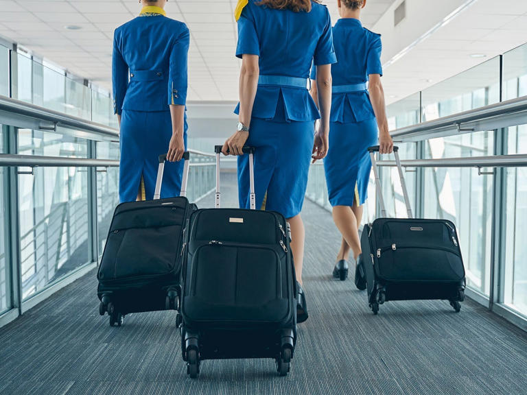 I've been a flight attendant for 9 years. Here are 4 things I want travelers to know before their next flight.