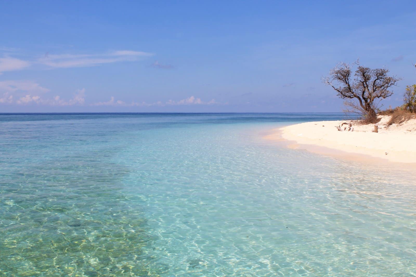 <p class="wp-caption-text">Image Credit: Shutterstock / excursionista.net</p>  <p><span>Mindoro is split into two provinces, Oriental and Occidental, and is famous for its diving spots, particularly around Puerto Galera in Oriental Mindoro, which is part of the Verde Island Passage, one of the most biodiverse marine corridors in the world. Apart from its underwater allure, Mindoro boasts beautiful beaches, hidden waterfalls, and indigenous Mangyan villages, offering a glimpse into the island’s rich cultural tapestry.</span></p>