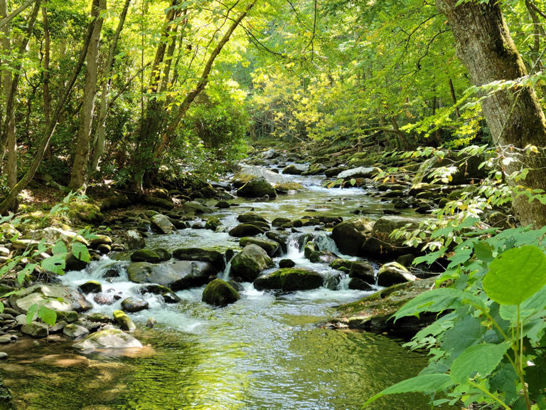 Great Smoky Mountains National Park is full of tranquil spaces like Little River Trail.