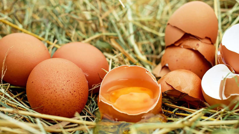  Esto es lo que pasa en tu cuerpo si comes huevos todos los días 