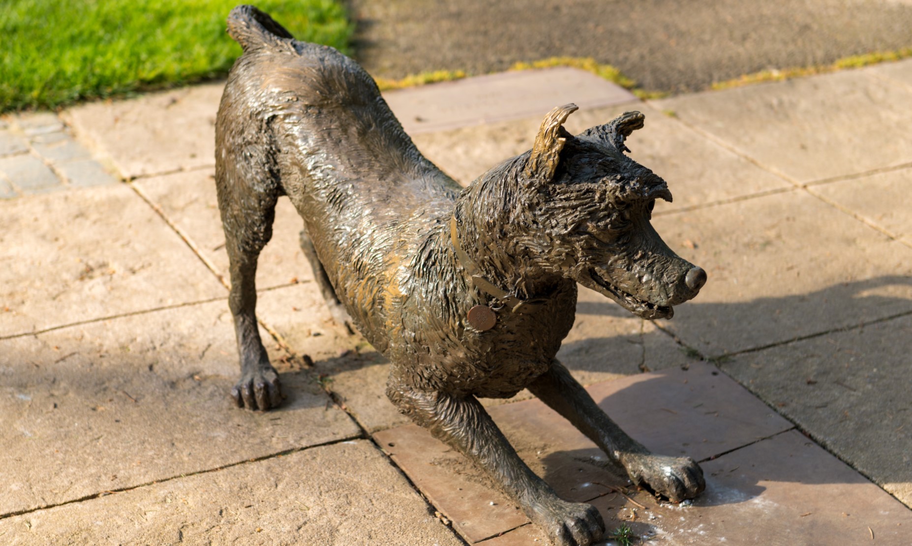 30 of the World's Most Iconic Dog Statues