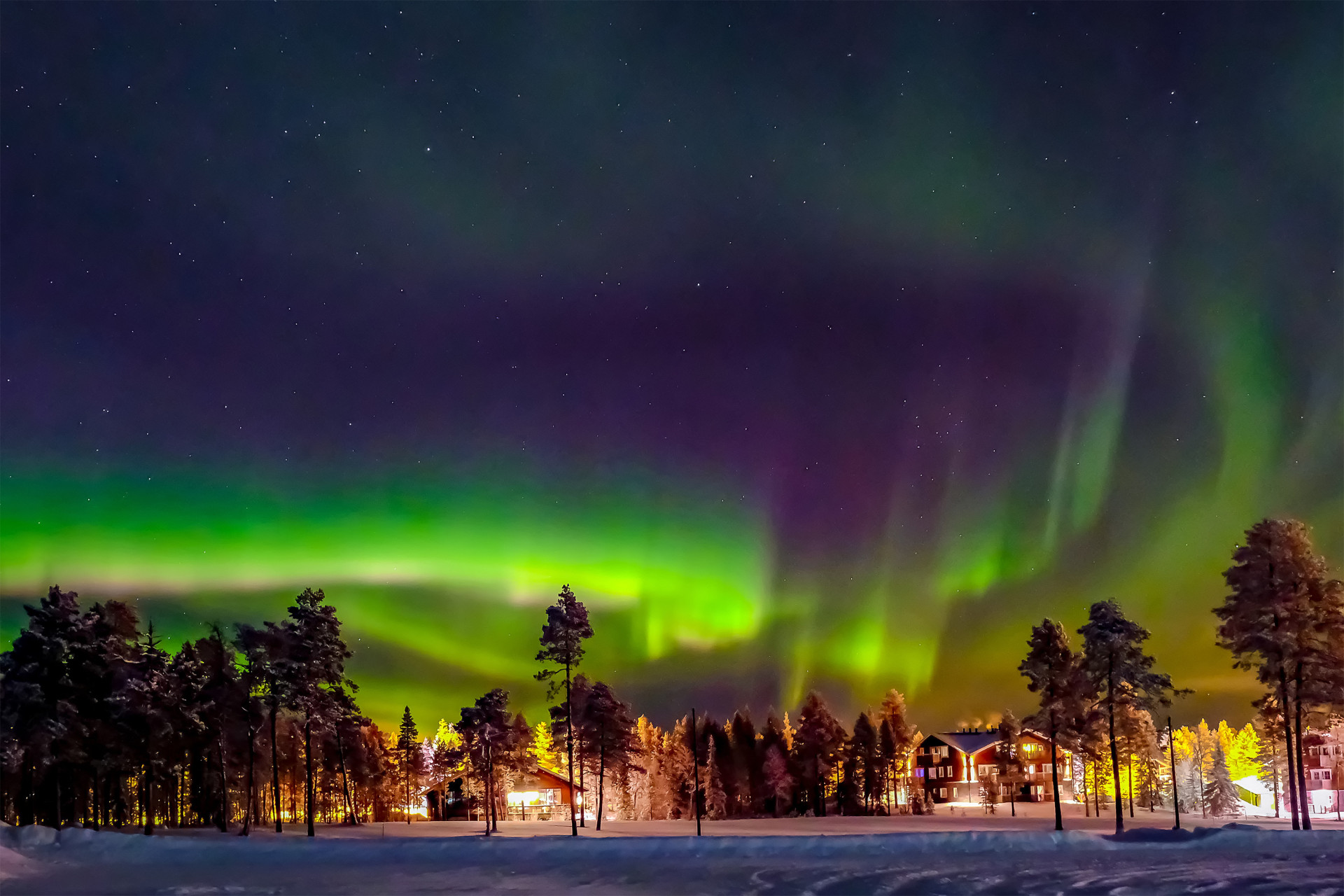 Des aurores boréales illuminent le ciel au-dessus de la Laponie arctique. Gelée en hiver, la région est associée à Noël et au père Noël depuis de nombreuses années.<p><a href="https://www.msn.com/fr-fr/community/channel/vid-7xx8mnucu55yw63we9va2gwr7uihbxwc68fxqp25x6tg4ftibpra?cvid=94631541bc0f4f89bfd59158d696ad7e">Suivez-nous et accédez tous les jours à du contenu exclusif</a></p>