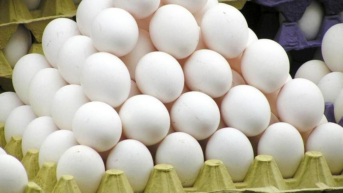 ¿lavas los huevos antes de cocinarlos? conoce por qué es peligroso hacerlo