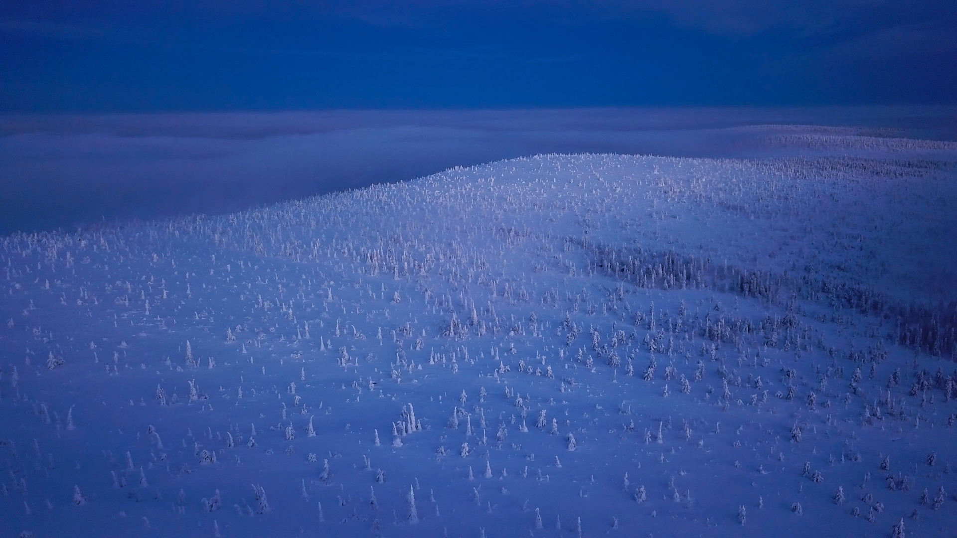 Le parc national de Riisitunturi, à Posio, dans le sud de la Laponie, est réputé en hiver pour son paysage composé d'arbres enneigés.<p>Tu pourrais aussi aimer: </p>