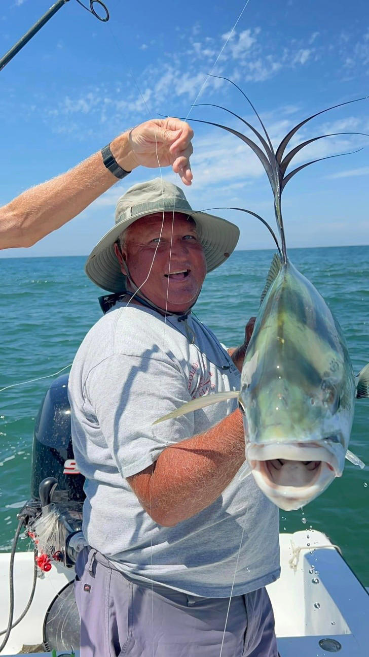 Pez gallo, imponencia del mar y desafío para los pescadores deportivos ...