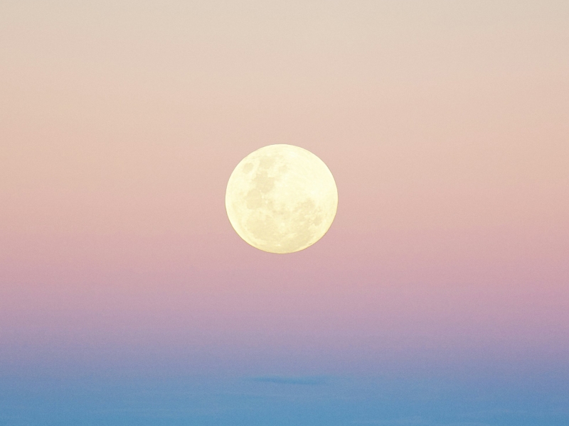 vollmond im april: so wirkt sich der pink moon auf die einzelnen sternzeichen aus