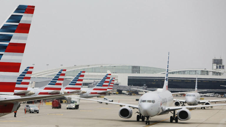American Airlines planes lined up at their gates.