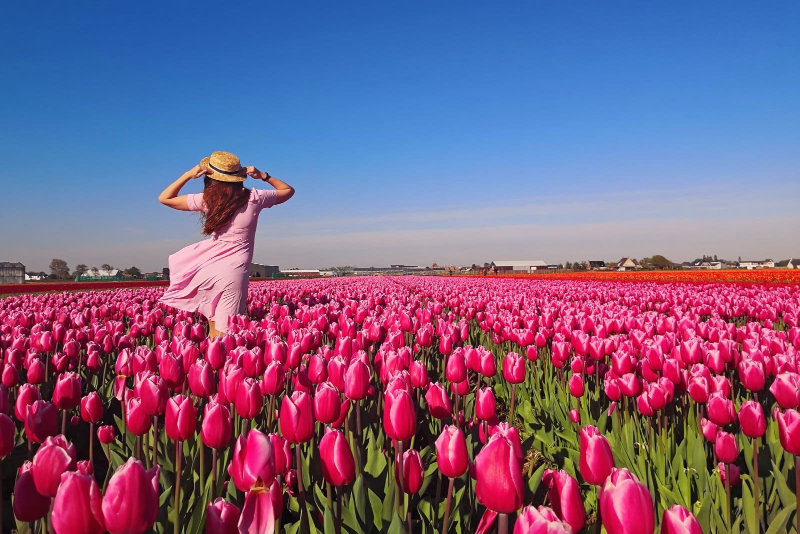 <p class="wp-caption-text">Image Credit: Shutterstock / Chiociolla</p>  <p>The first recorded speculative bubble burst over tulips, with some bulbs trading for the price of a luxury home. When the market crashed, it left many in financial ruin.</p>
