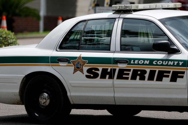 Leon County Sheriff's Office investigating 'in-custody death' at ...