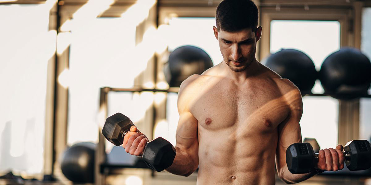 The Best Upper Body Exercises for Your Workout Plan