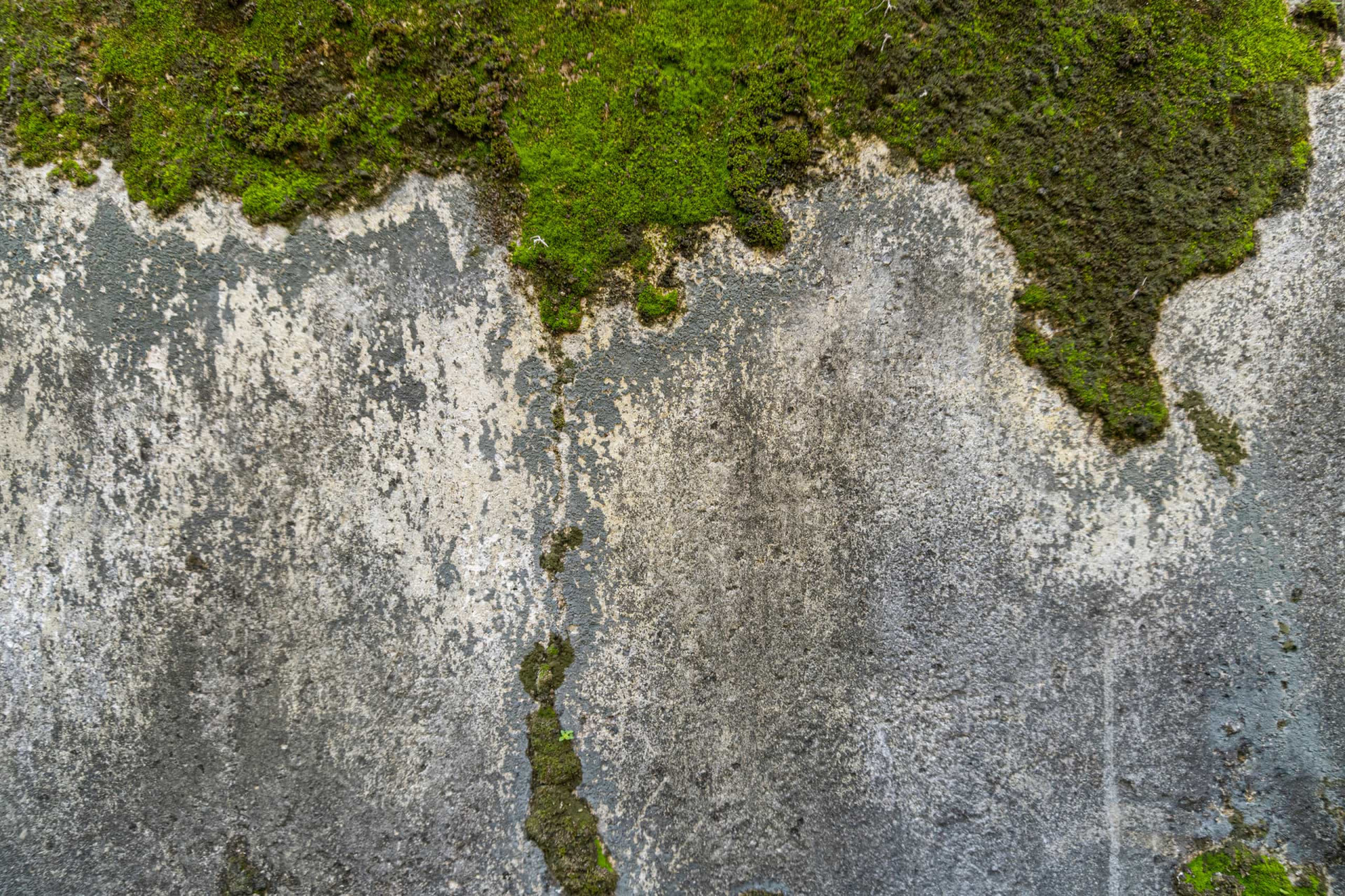 Unexpected uses for bleach