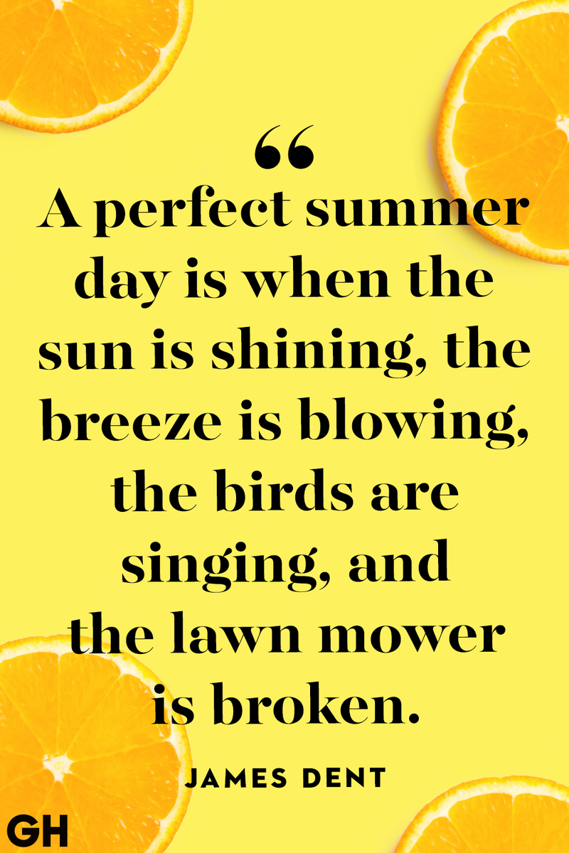 <p>A perfect summer day is when the sun is shining, the breeze is blowing, the birds are singing, and the lawn mower is broken.</p>