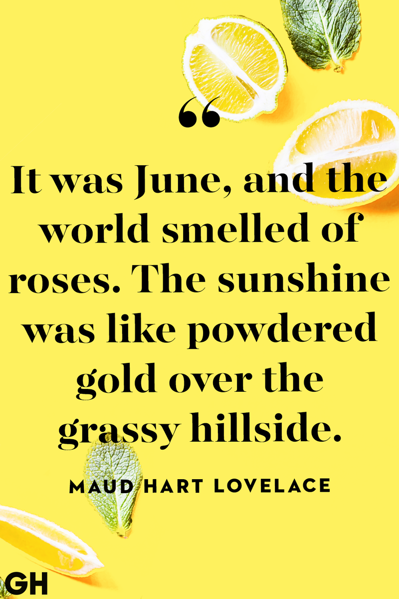 <p>It was June, and the world smelled of roses. The sunshine was like powdered gold over the grassy hillside.</p>