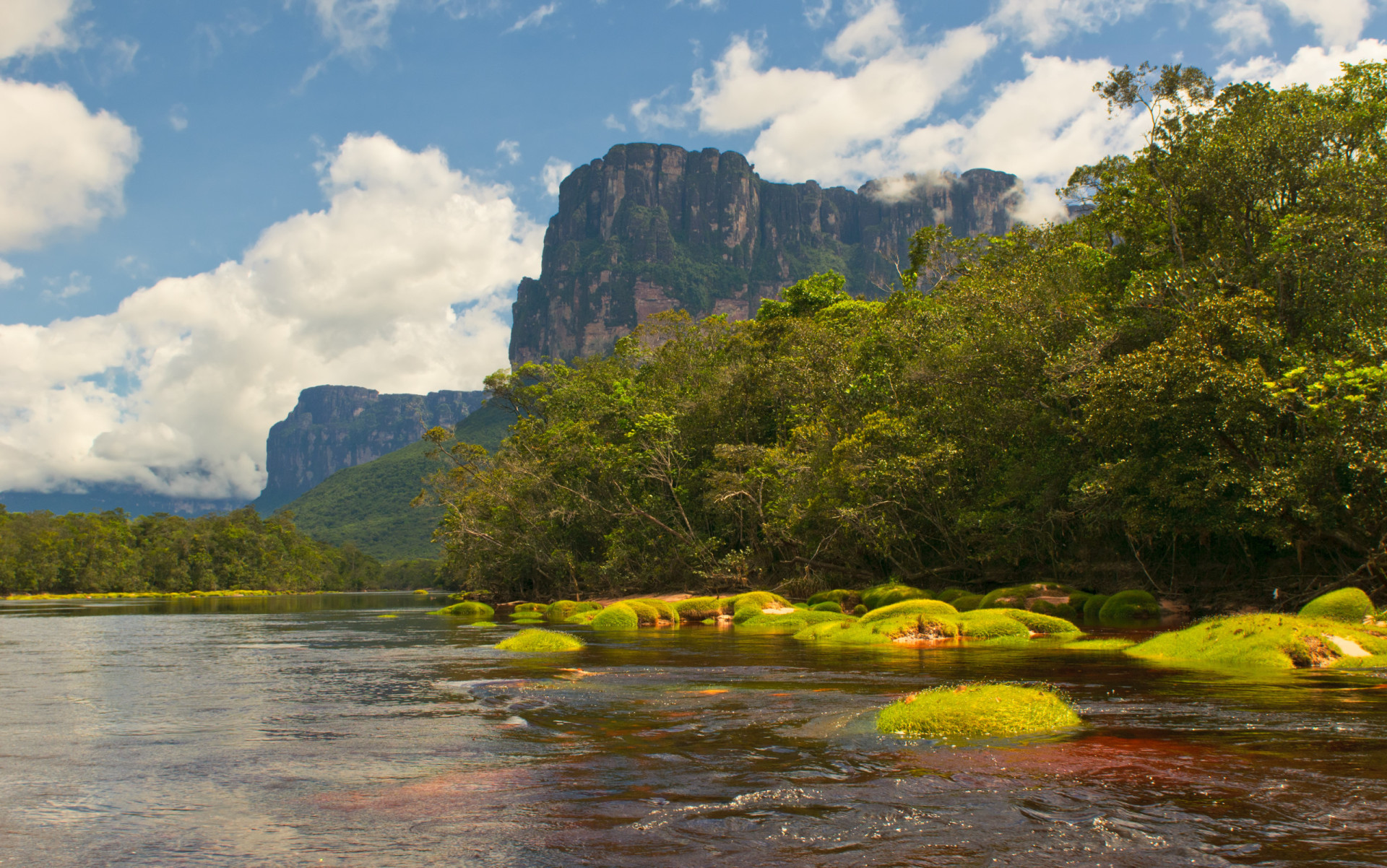 The countries with the largest forests on earth