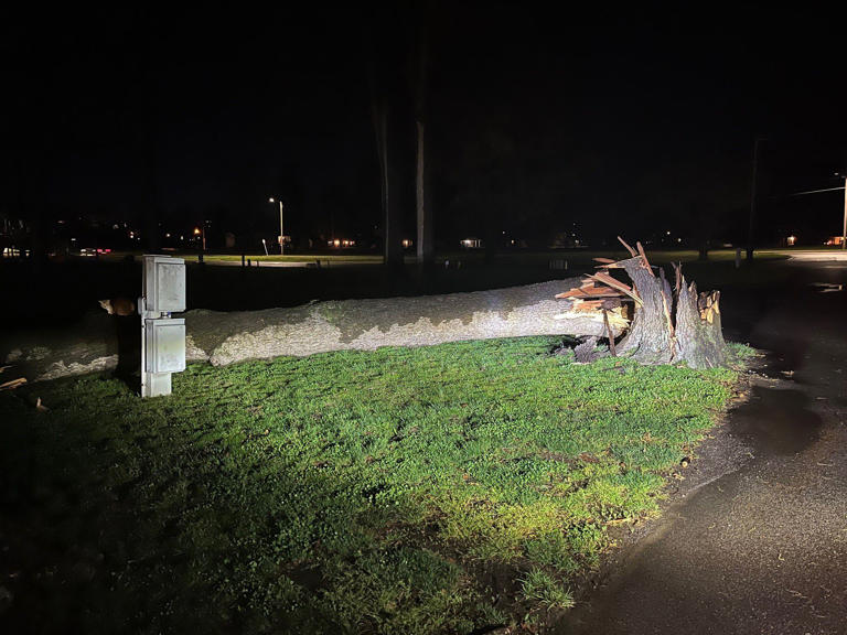 Strong, severe storms cause damage in the Heartland