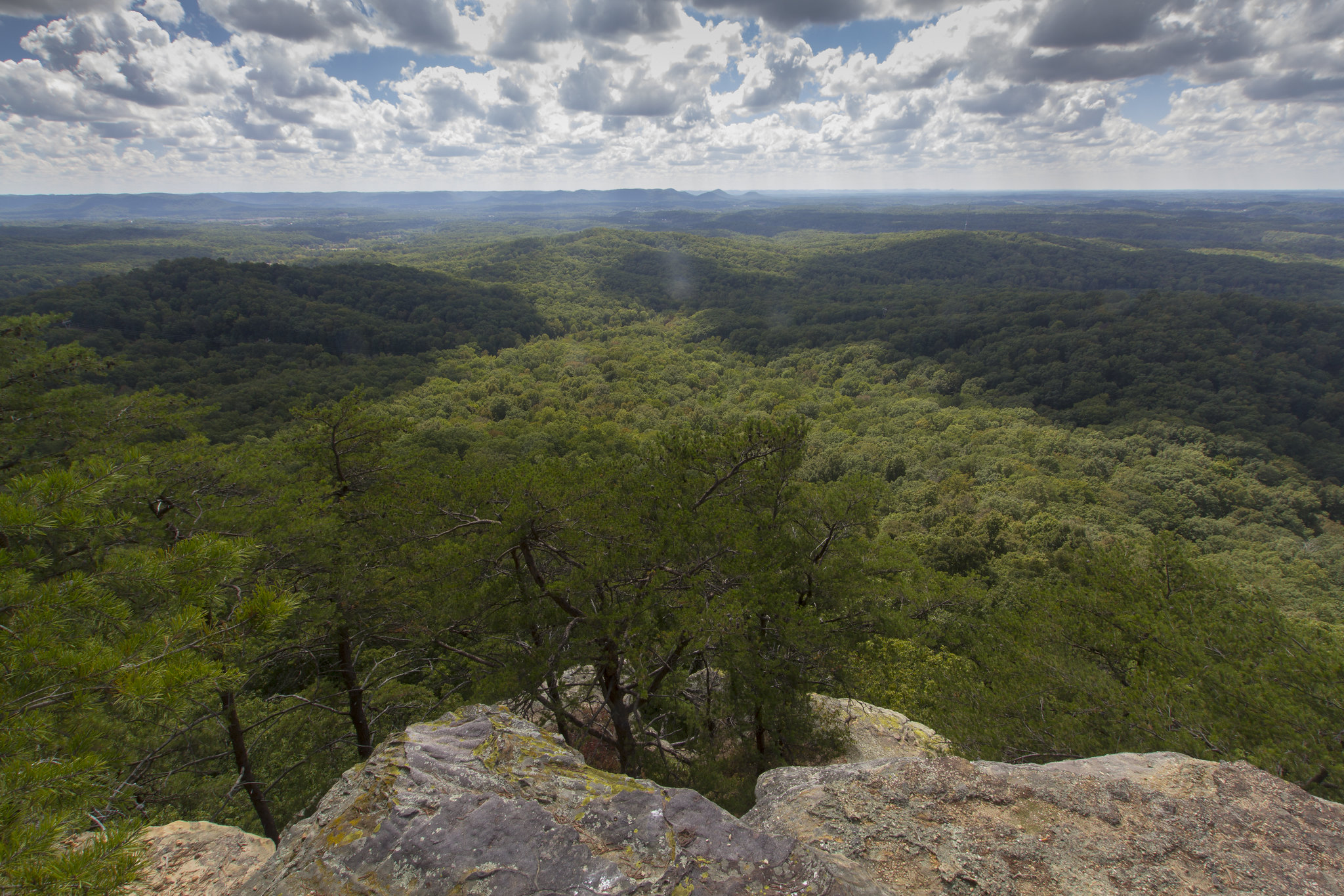 Every State's Biggest Urban Legend