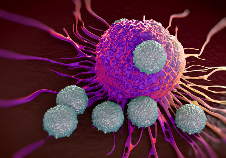 Artist's impression of killer T cells attacking a cancerous tumor. However, according to new research, tumors can produce an acid wall to protect themselves from the activity of our immune system.